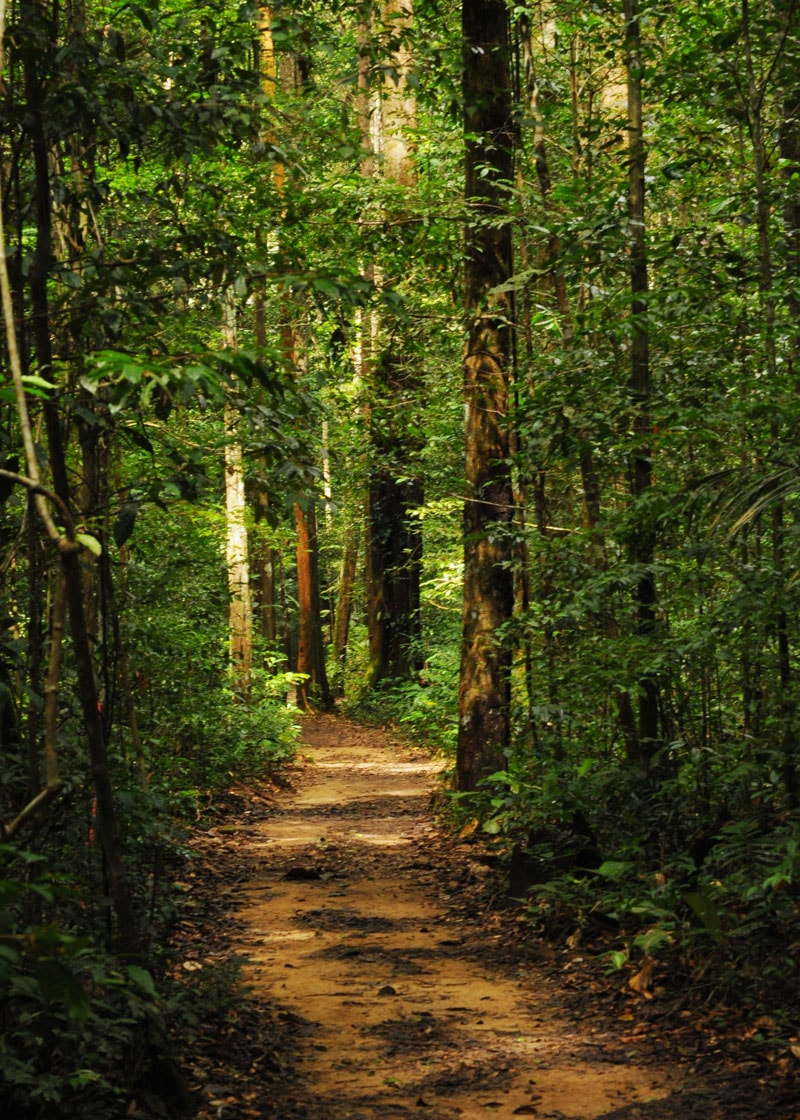 terceiro ambiente